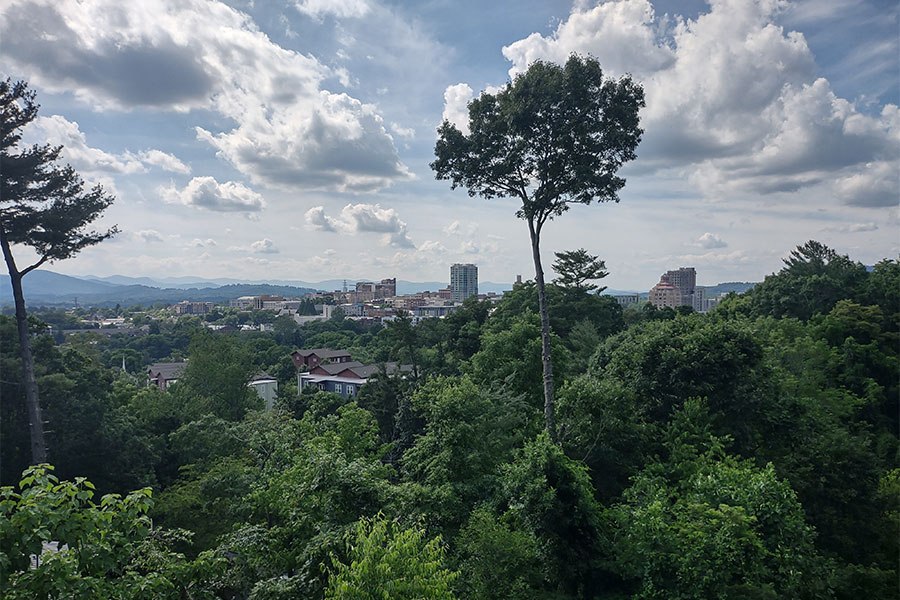 aerial-view-of-residential-property-after-tree-care-asheville-nc