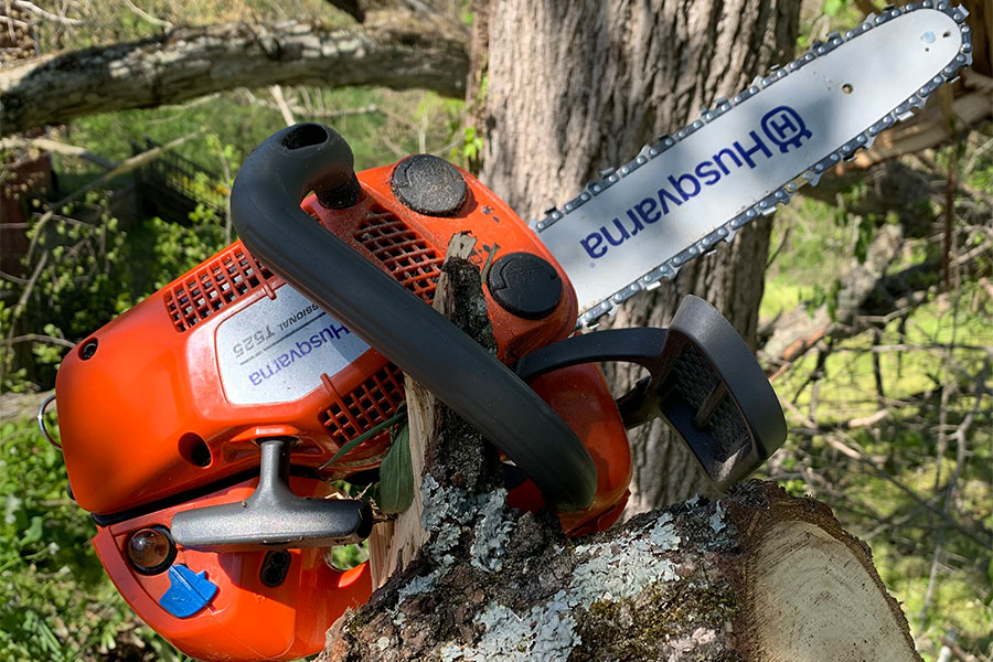 chainsaw-on-a-tree-for-tree-trimming-asheville-nc