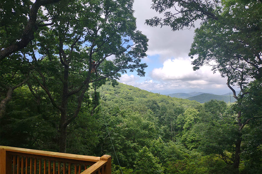 view-trimming-at-residential-property-asheville-nc