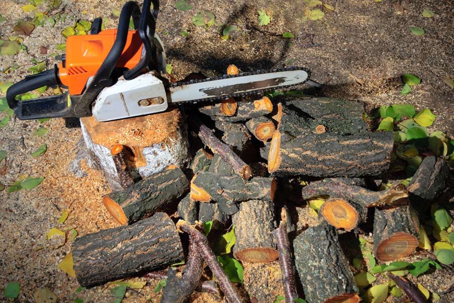 pile of tree trunks with chainsaw candler nc